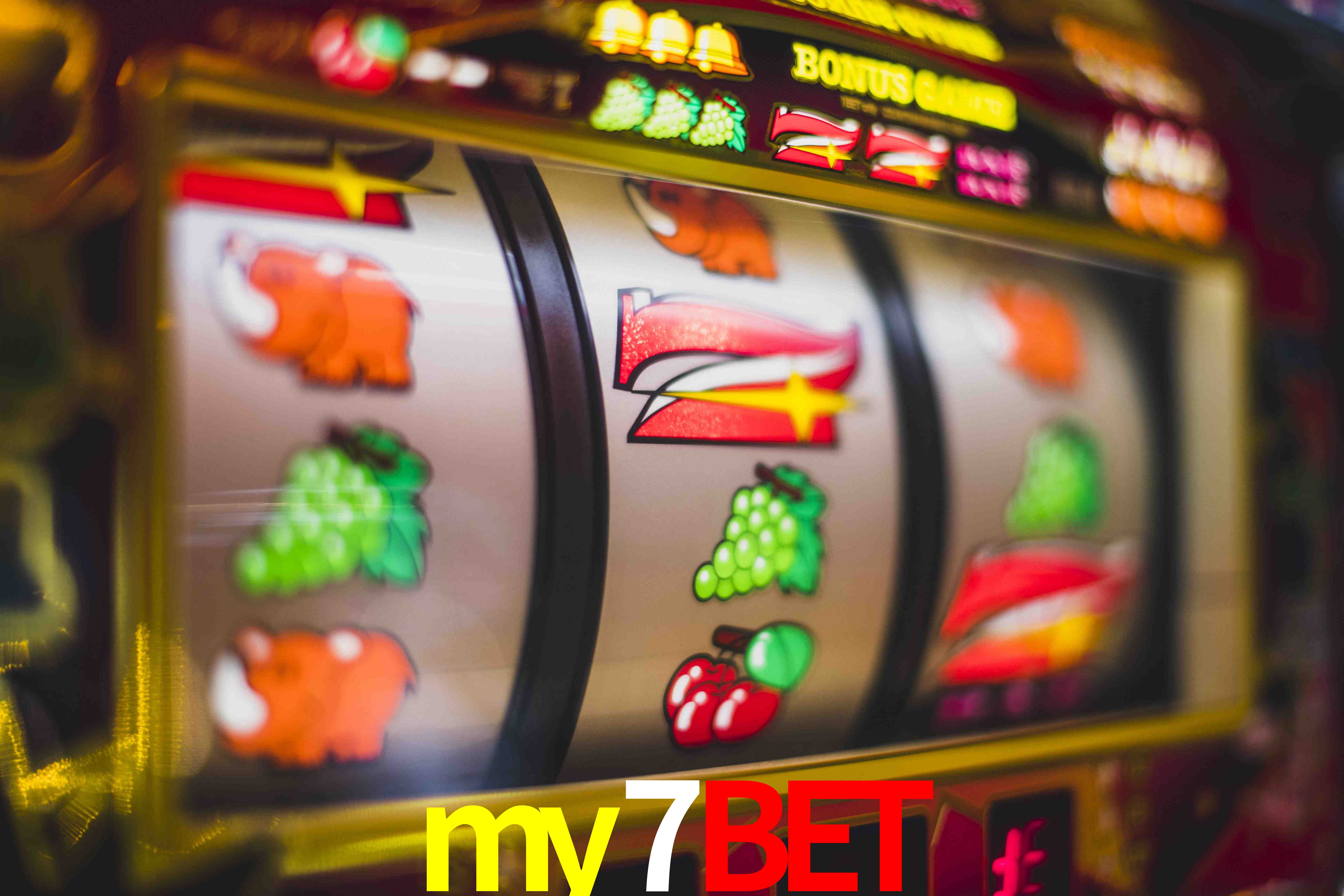Sports Statistics my7bet